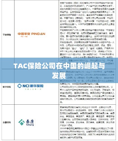 TAC保险公司在中国的崛起与蓬勃发展之路-图1