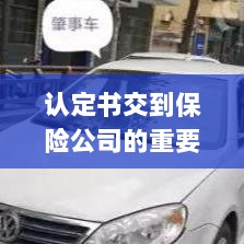 认定书交到保险公司的重要性及后续处理流程详解-图1