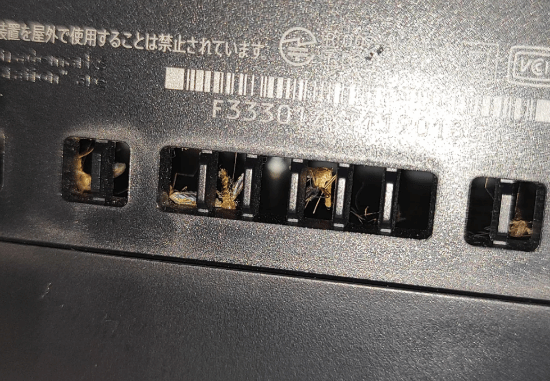 PS5成蚊子收割机，机内惨状竟是灯光所致-图2