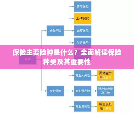 全面解读，保险的主要险种及其重要性-图1