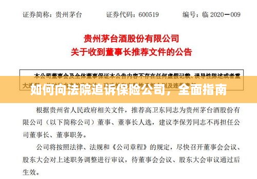 如何向法院追诉保险公司，全面指南解析-图1