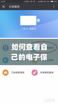 如何查看个人电子保险保单详情-图1
