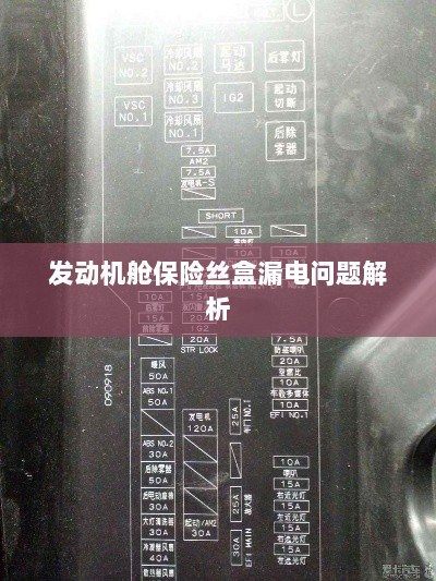 发动机舱保险丝盒漏电问题深度解析-图1