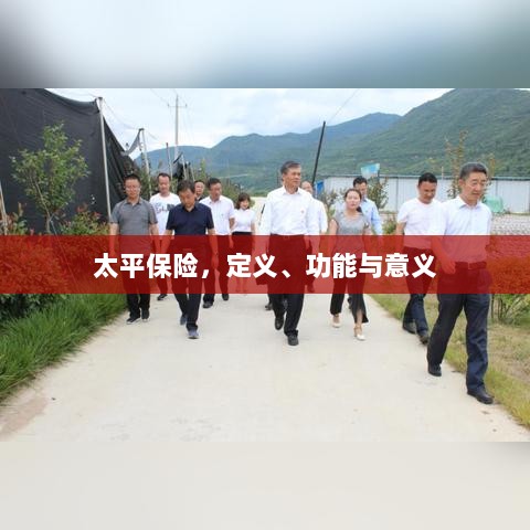 太平保险,定义、功能及其重要意义-图1 太平保险,定义、功能及其重要意义-图1