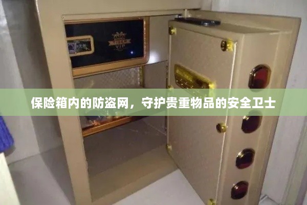 保险箱内防盗网,守护贵重物品的安全屏障-图1 保险箱内防盗网,守护贵重物品的安全屏障-图1