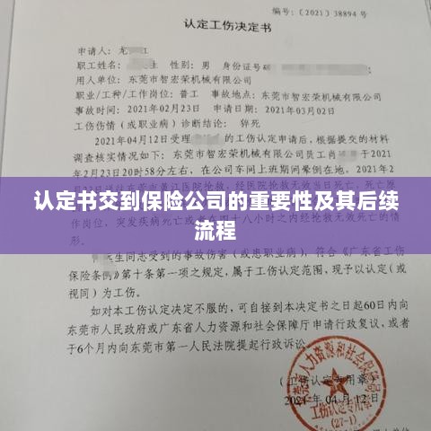 认定书对保险公司的重要性及后续流程详解-图1 认定书对保险公司的重要性及后续流程详解-图1