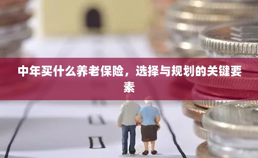 中年养老保险选择与规划的关键要素解析-图1