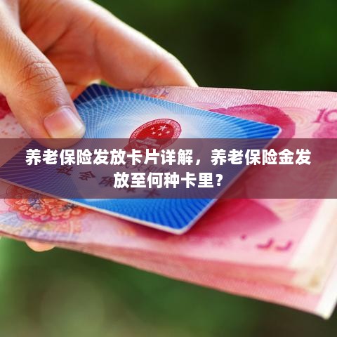 养老保险发放卡片详解，保险金发放至哪些卡里？-图1