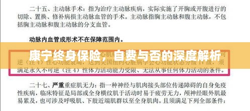 康宁终身保险,自费与否的全面解析与探讨-图1 康宁终身保险,自费与否的全面解析与探讨-图1