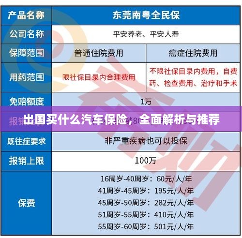 全面解析与推荐,出国应该购买哪些汽车保险?-图1 全面解析与推荐,出国应该购买哪些汽车保险?-图1