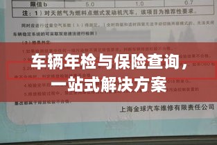 车辆年检与保险查询，一站式解决方案解析-图1
