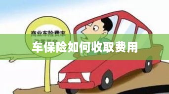 车保险费用收取详解-图1