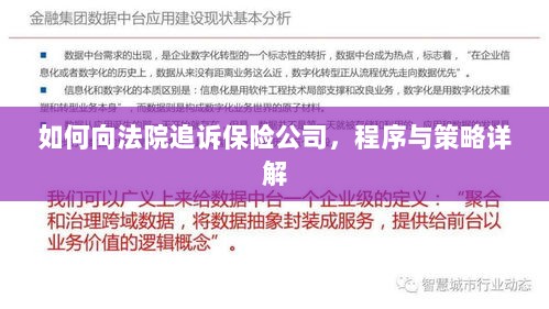 如何追诉保险公司？程序与策略全解析-图1