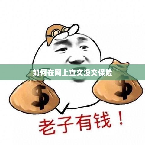 网上查保险缴纳状态指南-图1
