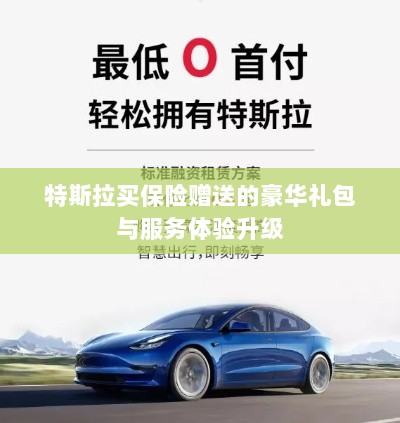 特斯拉保险特惠，豪华礼包与服务体验全面升级-图1