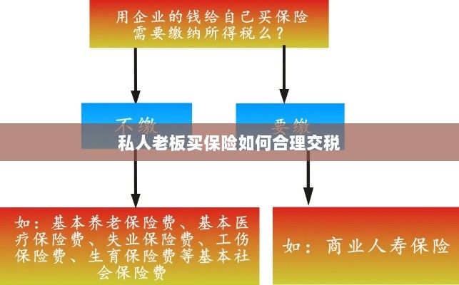 私人老板如何合理购买保险并交税指南-图1