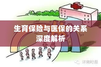生育保险与医保关系的深度探讨-图1 生育保险与医保关系的深度探讨-图1