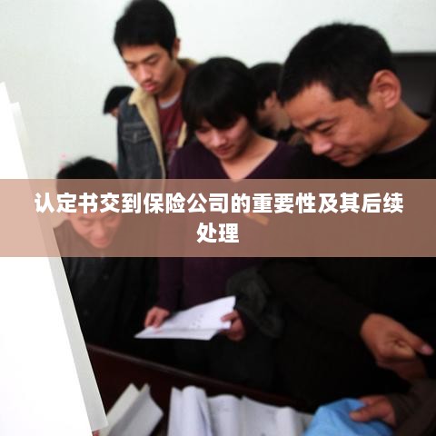 认定书交到保险公司的重要性及后续处理流程详解-图1 认定书交到保险公司的重要性及后续处理流程详解-图1