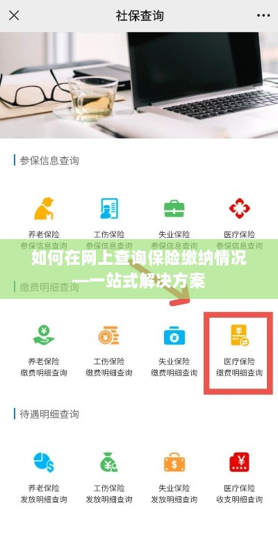 网上查询保险缴纳情况，一站式解决方案指南-图1