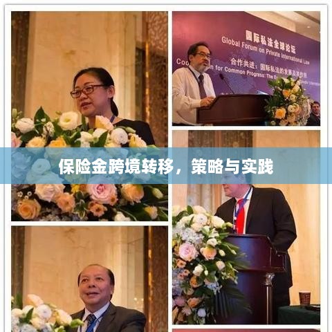 保险金跨境转移的策略与实践探讨-图1