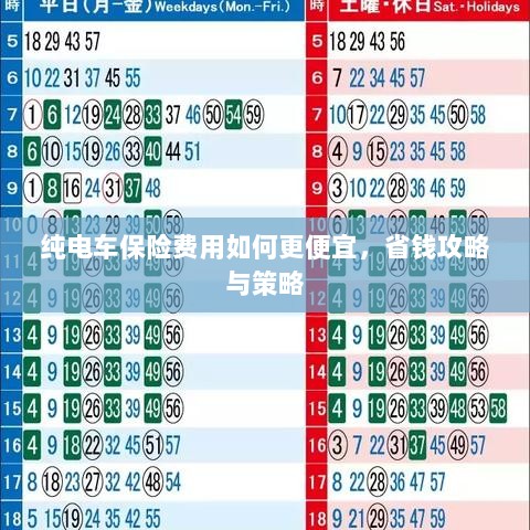 纯电车保险费用省钱攻略,降低成本的有效策略与技巧-图1 纯电车保险费用省钱攻略,降低成本的有效策略与技巧-图1