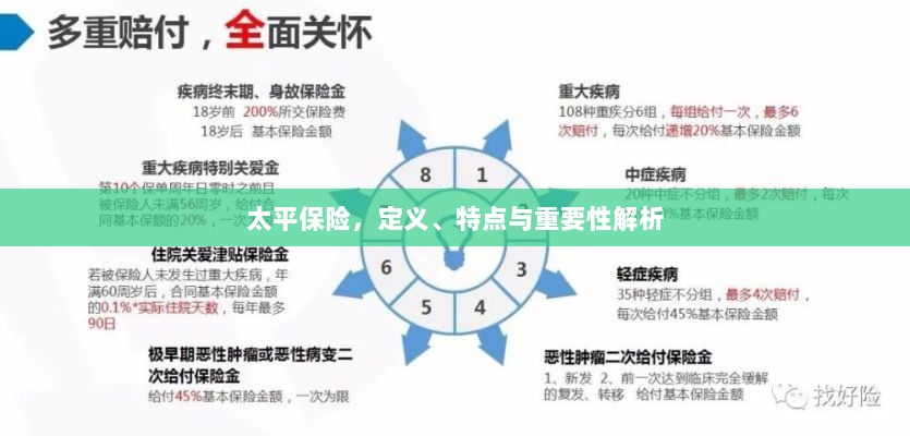 太平保险,定义、特征与重要性深度解析-图1 太平保险,定义、特征与重要性深度解析-图1