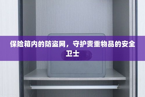 保险箱内防盗网，守护贵重物品的安全屏障-图1