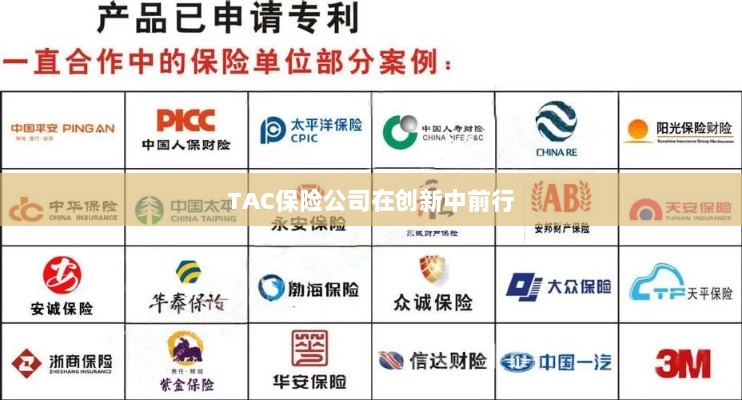 TAC保险公司，创新引领前行之路-图1
