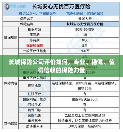 长城保险公司，专业、稳健、值得信赖的保险力量评价-图1