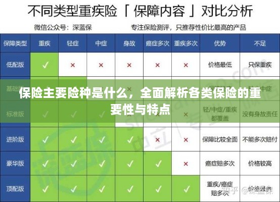 全面解析保险主要险种,种类、重要性及特点概览-图1 全面解析保险主要险种,种类、重要性及特点概览-图1