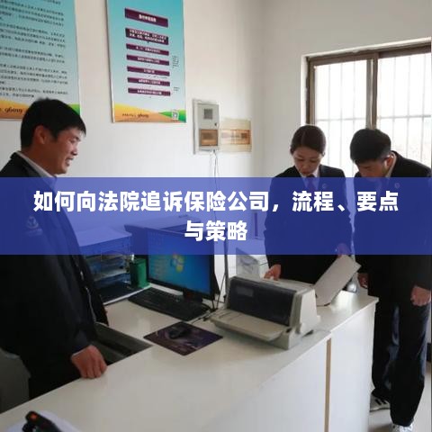 追诉保险公司指南，流程、要点与策略全解析-图1