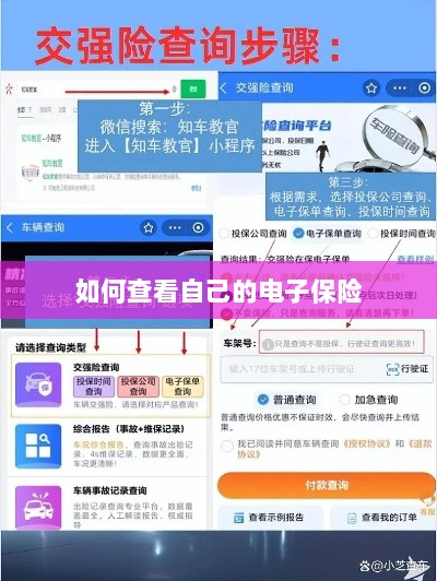 如何查看个人电子保险保单详情-图1