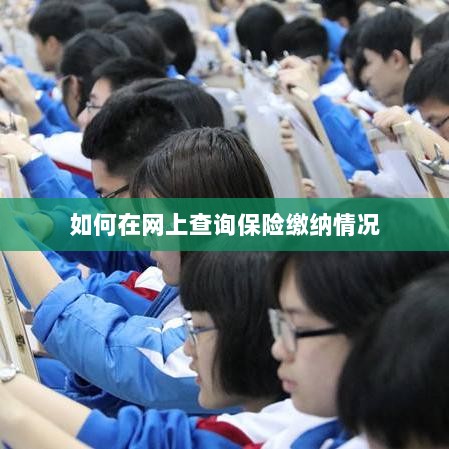 网上查询保险缴纳情况攻略-图1