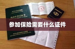 参加保险所需证件概览-图1