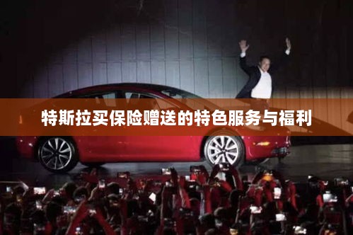 特斯拉保险特惠，独家特色服务与丰厚赠品等你来享-图1
