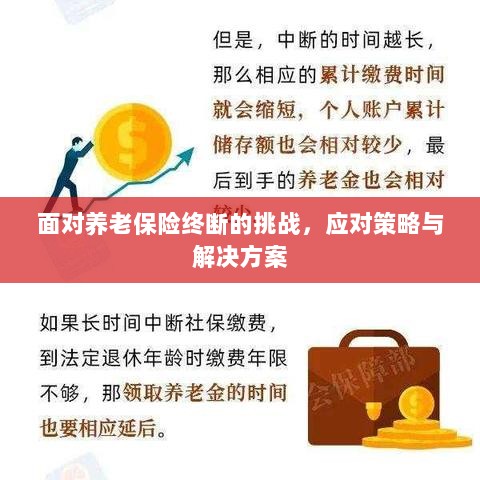 养老保险中断挑战应对方案与策略探讨-图1 养老保险中断挑战应对方案与策略探讨-图1