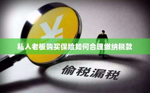 私人老板购买保险如何合理缴税,策略与指南-图1 私人老板购买保险如何合理缴税,策略与指南-图1