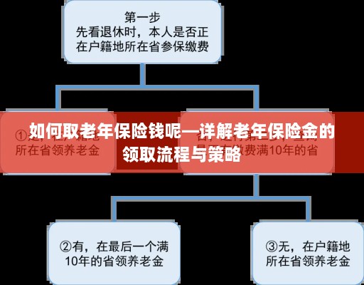 详解，老年保险金的领取流程与策略指南——如何顺利获取老年保险金？-图1