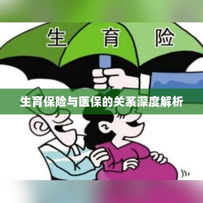 生育保险与医保关系的深度探讨-图1 生育保险与医保关系的深度探讨-图1