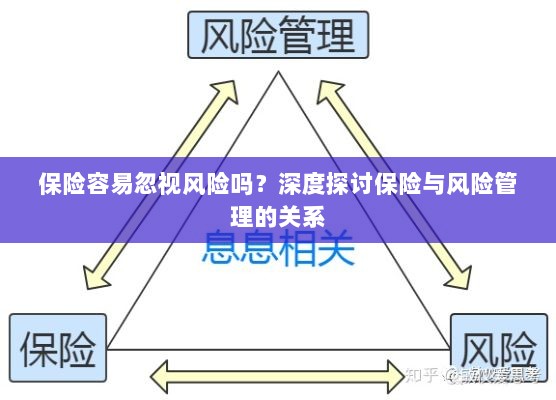 深度探讨保险与风险管理关系，揭示易被忽视的风险及其应对策略-图1