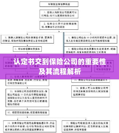 认定书交到保险公司的流程解析与重要性探讨-图1
