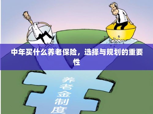 中年养老保险的选择与规划,关键性与策略探讨-图1 中年养老保险的选择与规划,关键性与策略探讨-图1