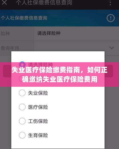 失业医疗保险缴费详解，如何正确缴纳费用指南-图1
