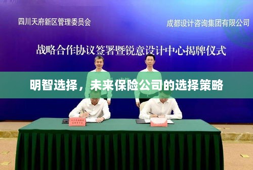 明智之选，未来保险公司策略性选择指南-图1