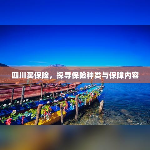 四川保险探秘,种类与保障内容全解析-图1 四川保险探秘,种类与保障内容全解析-图1