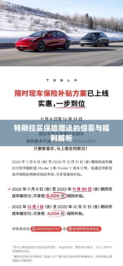 特斯拉保险赠品福利大解析，惊喜与优惠一网打尽！-图1