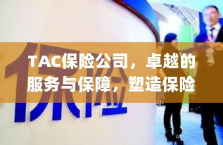 TAC保险公司，卓越服务与保障，树立保险行业典范-图1