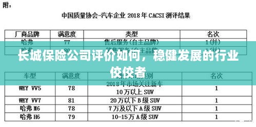 长城保险公司评价积极，行业稳健发展的佼佼者-图1