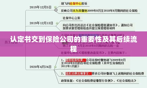 认定书对保险公司的重要性及后续流程详解-图1