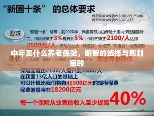 中年明智之选，养老保险的规划与策略-图1